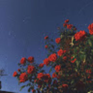 Meet your Posher, Wiczarska